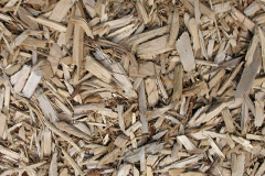 biomass boilers Mossbay